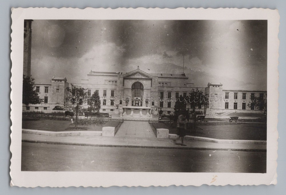 Southampton England 1946 – Civic Centre Rose Garden – Old Photo 1940s