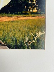 11 X 14 Matted Photo – signed by photographer Marie Whitton- WHITE CRANE