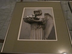 Jerry Deeds Photography (three) framed and matted Art Prints 23×20″