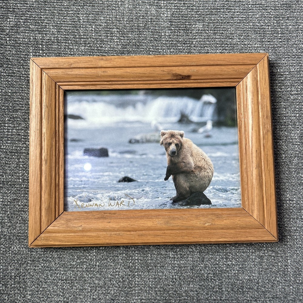 Kennan Ward Photography Bear On Rock On Water 5×7 Photograph Signed Wood Framed