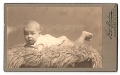 Photograph Hugo Pualsen, Magdeburg, Alte Ulrichstrasse 18, portrait sweet little