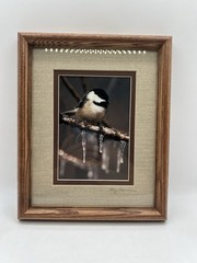 Chickadee On A Branch Original Photography Wooden Framed Signed Greg Ledermann