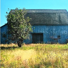 MICHAEL RAY Original Vintage Signed Long Island Landscape Barn Photograph Print