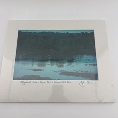 John Moran Photography Artist Signed Matted Alligators At Dusk 8×12