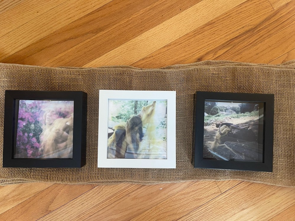 Original Artwork Polaroid On Archival Paper Wilderness Triptych 6×6 Framed $450