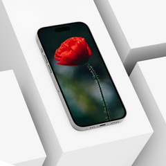 High-Resolution Floral Wallpapers Soft Natural Aesthetic Backgrounds for phones