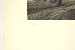 KURT MARKUS Meadow And Oak 1987 Photogravure Signed ltd 1/300