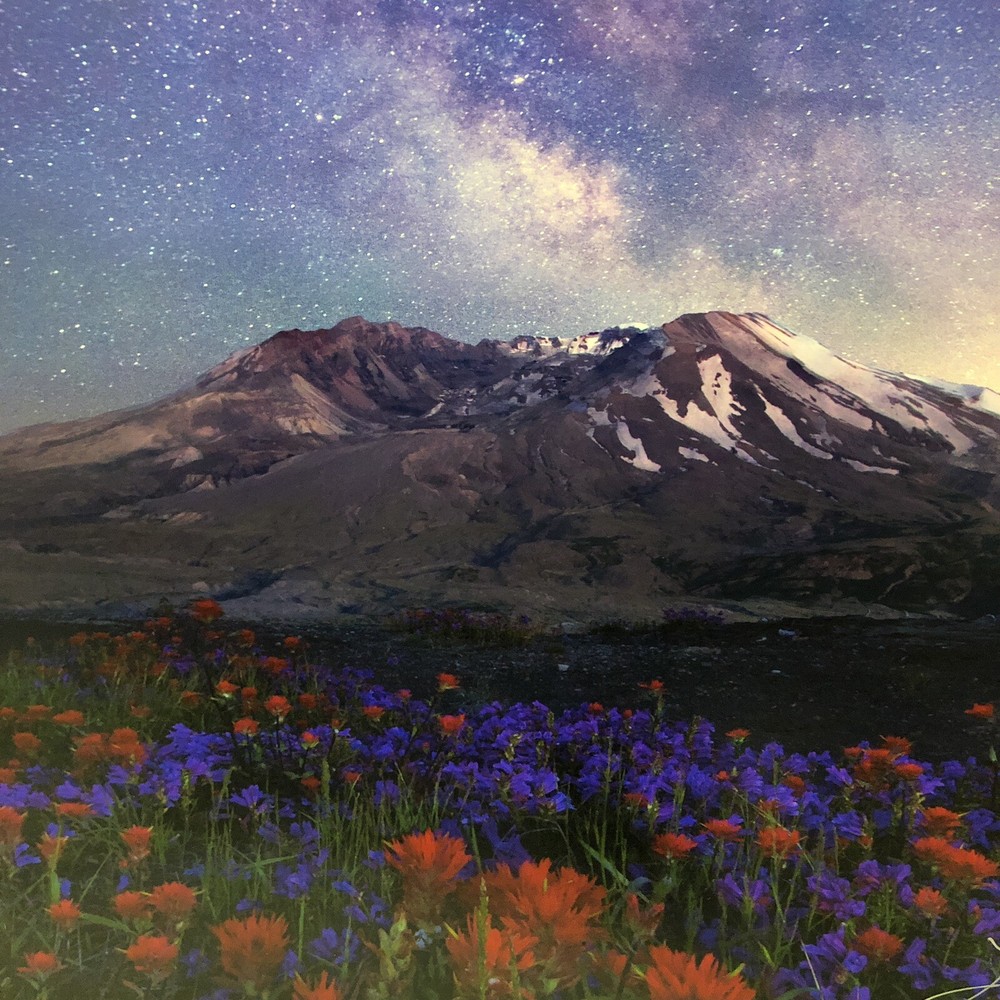 ART Original PHOTO Photograph Mt St Helens Washington Signed By Artist 17 x 11