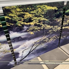 Peter Lik «Forest Dreams» 12 Foot Epic Washington Picture Recess