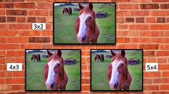 Close-up on a Wild Horse High Resolution Image, In Many Formats, TV Art
