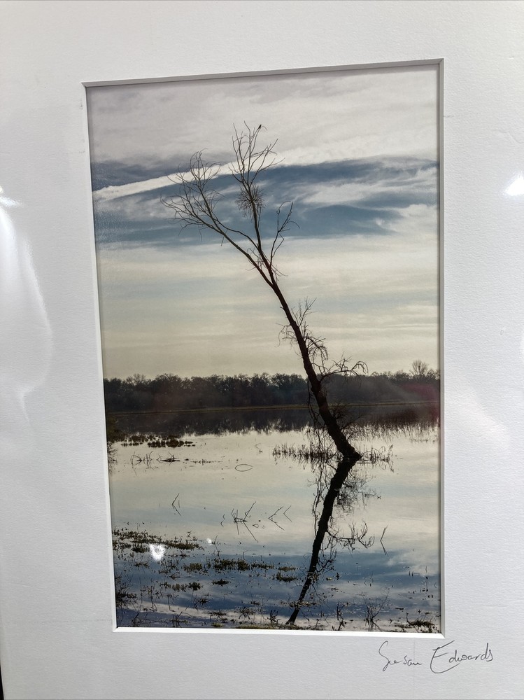 Susan Edwards Photography 5″ x 8″ Signed & Matted 11″ x 8.5″