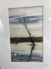 Susan Edwards Photography 5″ x 8″ Signed & Matted 11″ x 8.5″