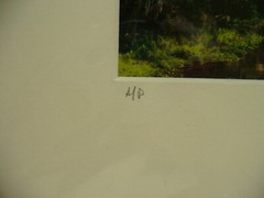 MATTED PHOTOGRAPHY View From The Bridge A/P By Larry Santucci 2008 14×11″