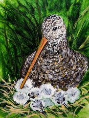 Bird with Babies in the Nest Nature DIGITAL DOWNLOAD Print at Home Wall Art