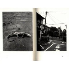 NOBUYOSHI ARAKI «Shun Setsu Sho » 1999, 1st. edition with OBI good condition
