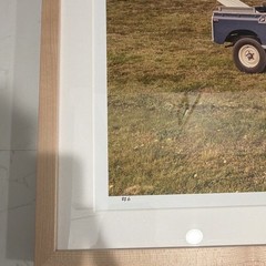 Gray Malin Signed and #6 Framed Matted Color Photo Airplane Vintage Autos Dog