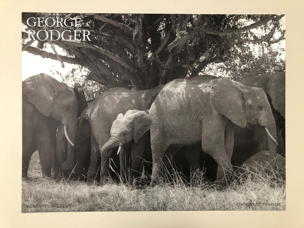 GEORGE RODGER,’ELEPHANTS, KENYA,1954′ AUTHENTIC 1990 ART PHOTO PRINT