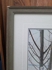 Thomas Mangelsen – Ermine in Trees (Signed 1999) 10×14 Framed