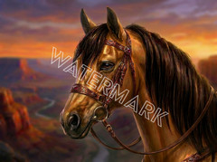 Premium Southwestern Arizona Horse Head #2 Artwork Digital Image Picture Photo
