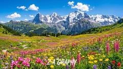 Digital Image Picture Photo Wallpaper Background Desktop AI Art Sample Product