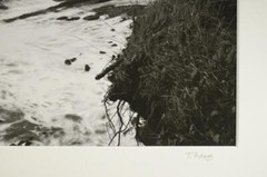 Tom Adams Photography Rocky Ocean Beach at Sunset Bay Matte Photo 11X14