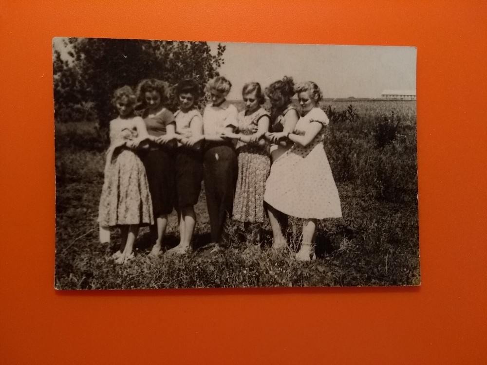 Photo old beautiful women women in a row nature fashion beauty old photo