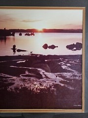 ART – Large Original Signed P. Van Dolson 35mm Photograph 29×21 Framed Landscape