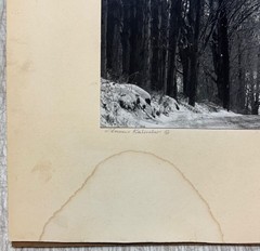 Original CLEMENS KALISCHER ‘Path in the Woods POWNAL VERMONT’ Landscape PHOTO