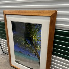 Peter Lik “Sweet Escape” Hawaii Palm Tree 1M Framed Picture