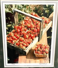 Dick Brown Photography «Strawberries» Limited Edition Amish Life Farmhouse Décor