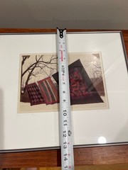 Bill Coleman Amish No. 363 Signed by artist, numbered Framed Color Photograph