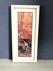 Joseph Barnett Photography Set of 2 Signed Autumn Themed Nature Framed Photos