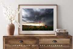 Storm Photography Print – Picture of Wildflowers and Thunderstorm in Kansas