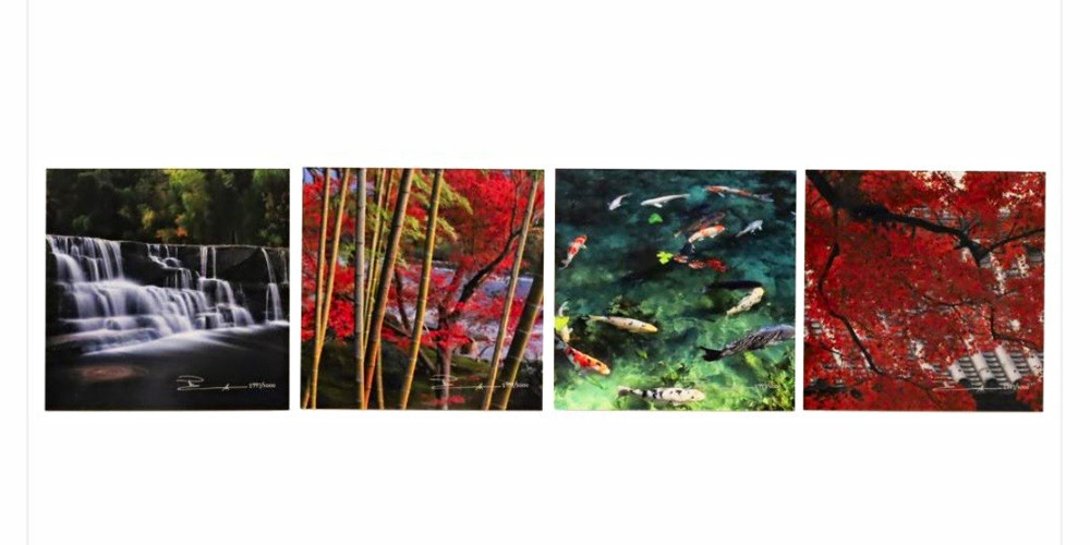 Signed Limited Edition Color Nature Photo Prints Set of 4: Waterfall Koi Bamboo