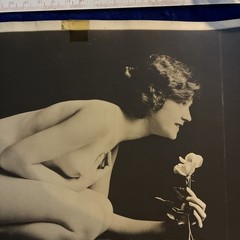 Henry Shaw Original large nude pose boudoir alta dienes sf boston mass flower