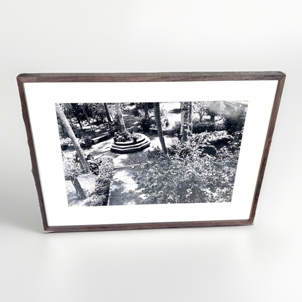 Alta Tingle Framed Garden Landscape Black & White Photograph 24″ SF Fine Art 90s