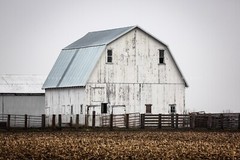Barn Photography Print: Illinois Midwest Rustic Farm Country Rural Photo