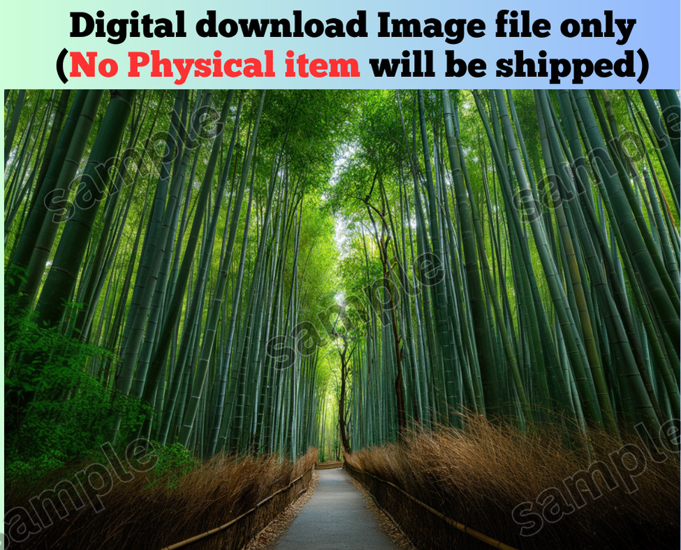 Bamboo forest nature image art picture background AI wallpaper for mobile & pc