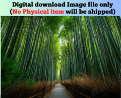 Bamboo forest nature image art picture background AI wallpaper for mobile & pc