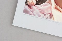 Silk Underwear Lingerie Fashion Photograph Ltd Edition Fine Art Print NEW + COA