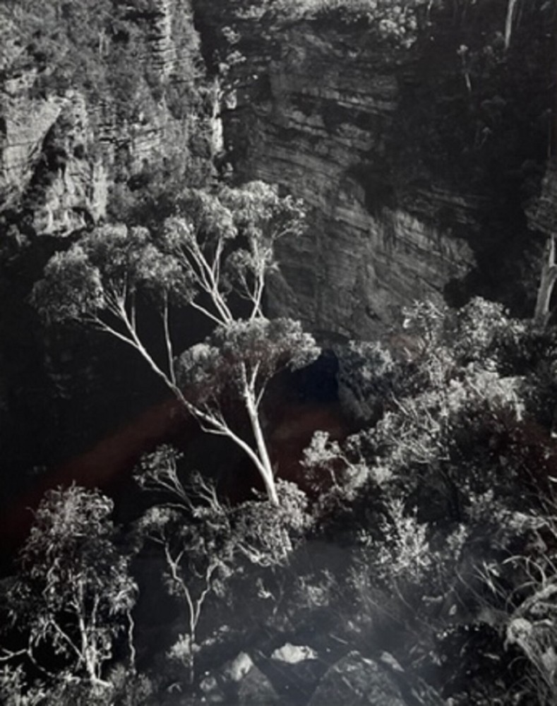 DR KC BROWN AUSTRALIAN LARGE PHOTOGRAPH B&W «GHOST GUM BELOW THE CLIFFS» 1980