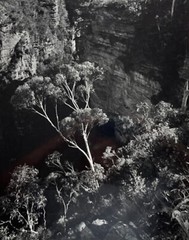 DR KC BROWN AUSTRALIAN LARGE PHOTOGRAPH B&W «GHOST GUM BELOW THE CLIFFS» 1980