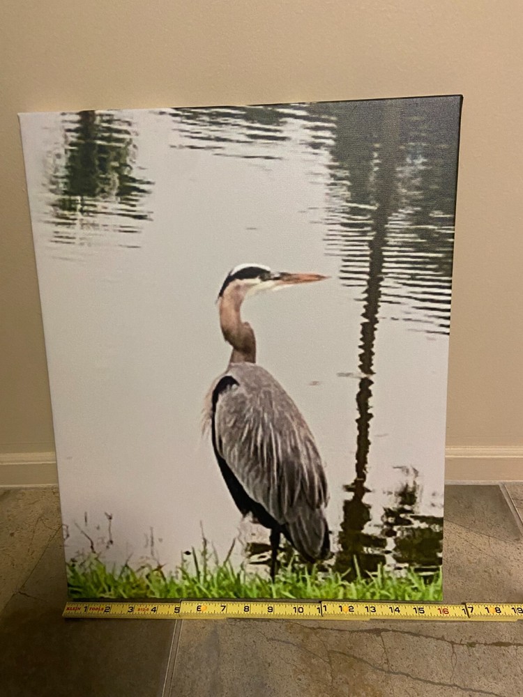 Photograph of crane on canvas, ready to hang 16 » x 20″