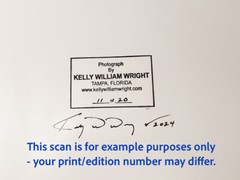 Original Male Nude KELLY WILLIAM WRIGHT Muscle Men JUNGLE WORK #4 – 9×13 Photo