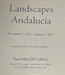 Landscapes Andalucia Emmet Gowin Poster Brochure 2013 Pace/MacGill Gallery NYC
