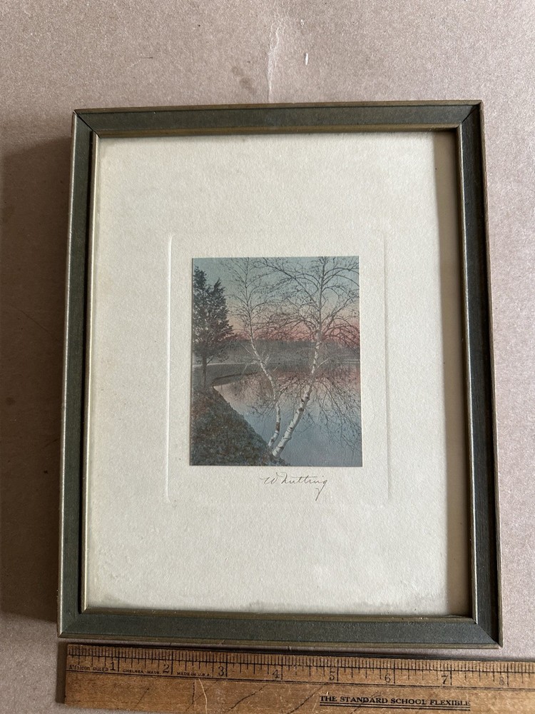 Antique Wallace Nutting Hand Colored Photo Birch Trees Pond in Original Frame