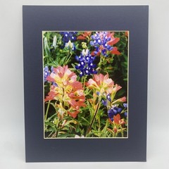 Matted Pink Blue Flowers Nature Photo Print 11 X 14 Wall Art Gallery Decor