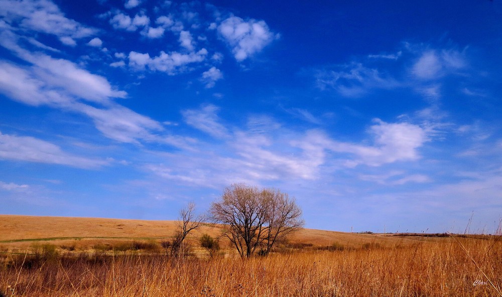 CAMpix photography; metallic print on metal (ready to hang; no frame needed  