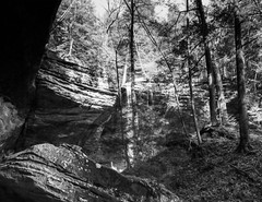 LANDSCAPE 8.5×11 or 13X19 B&W BORDERLESS GLOSSY PRINT (FREE SHIPPING)
