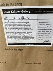 Jess Kalisher/#1969/EiffelTowerAtTwilight/Framed/Signed/20×24-art